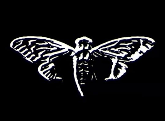 Cicada 3301
