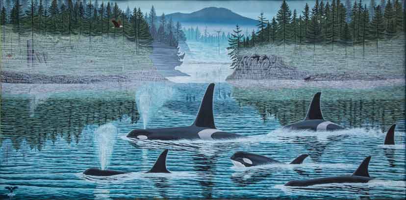 Orcas