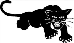 Black Panther